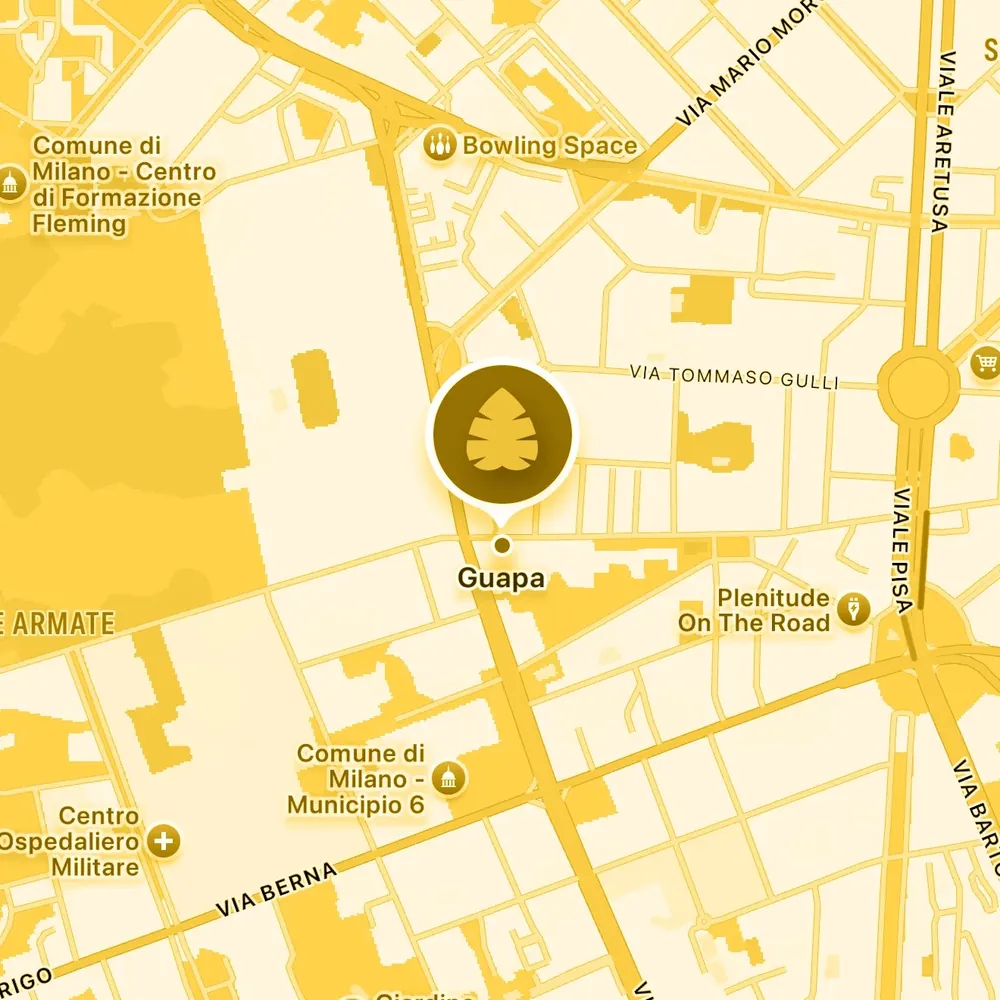 Mappa: Guapa Milano — Forze Armate