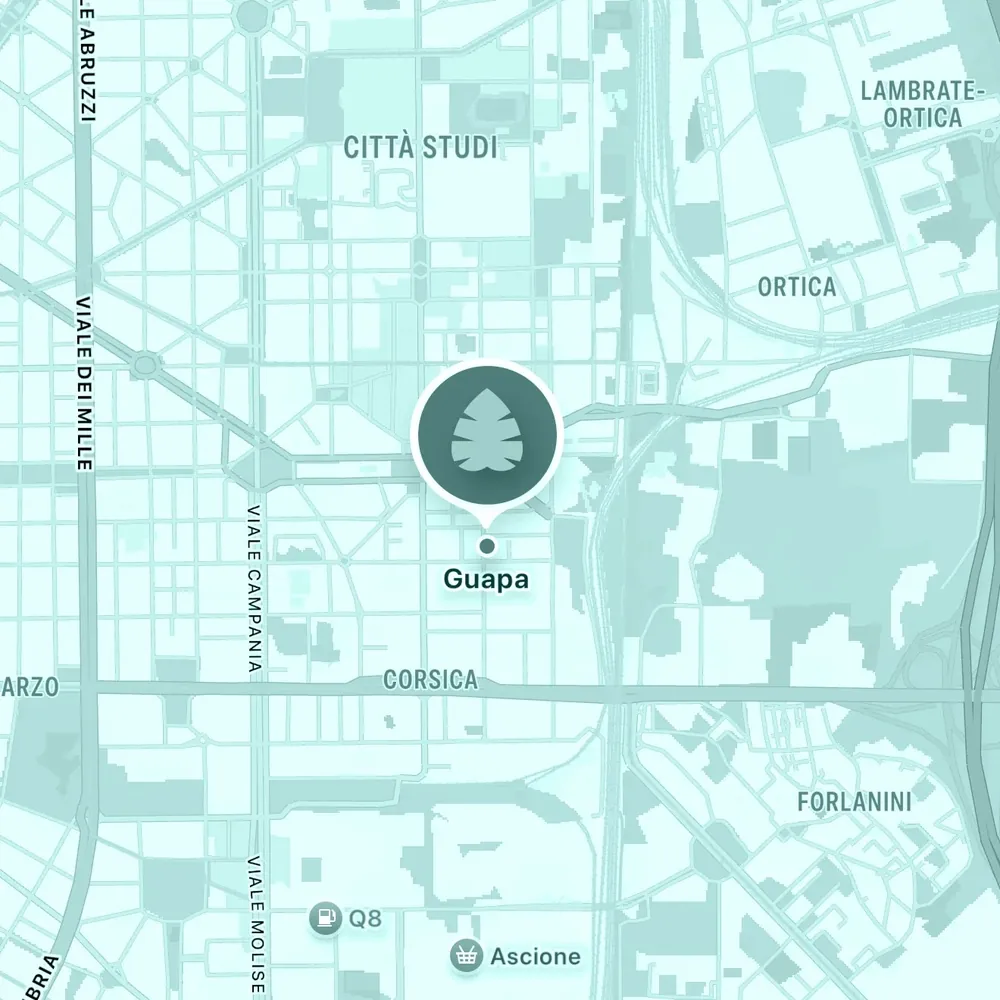 Mappa: Guapa Milano — Negroli